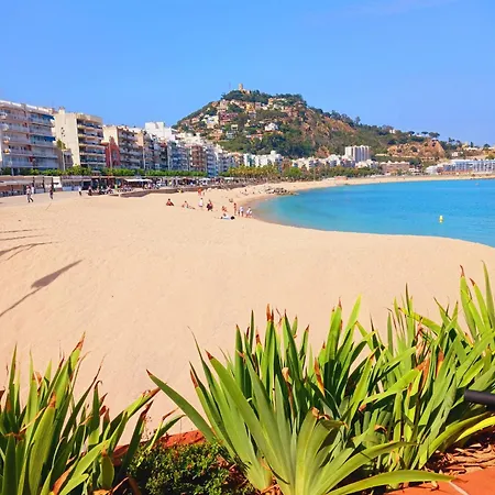 Apartment 2 Bedroom Large Modern In Old Town 50m From The Beach!